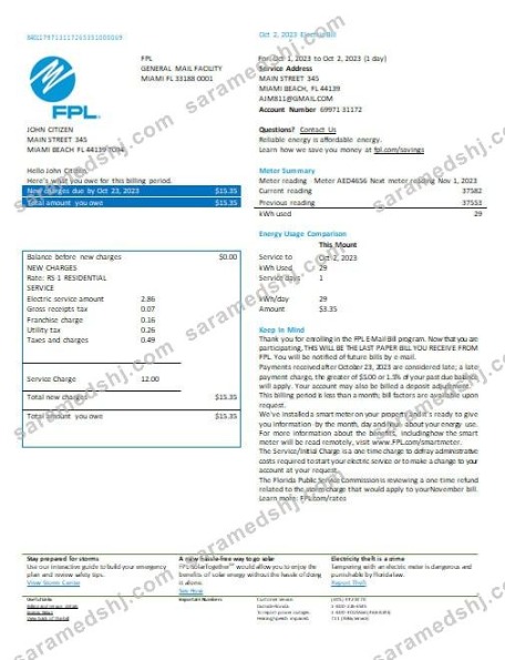 USA Florida FPL  electricity  utility bill Word and PDF formats, version 2